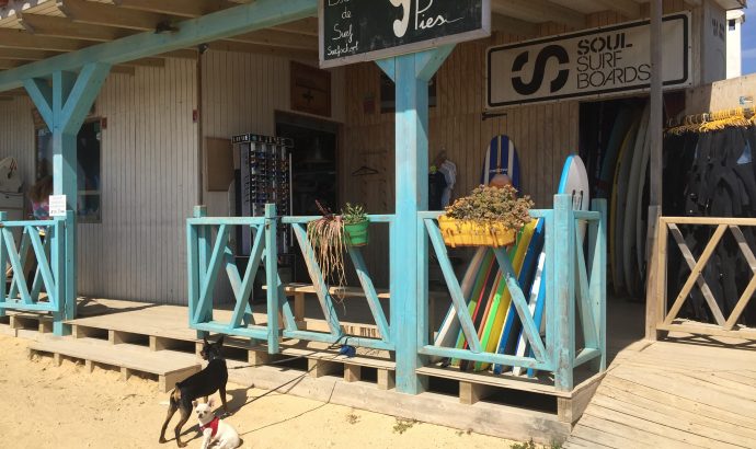 Vejer de la Frontera- eine Perle an der Costa de la Luz