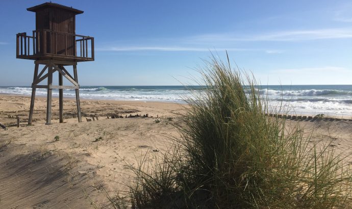 Vejer de la Frontera- eine Perle an der Costa de la Luz