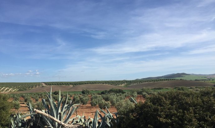 Vejer de la Frontera- eine Perle an der Costa de la Luz