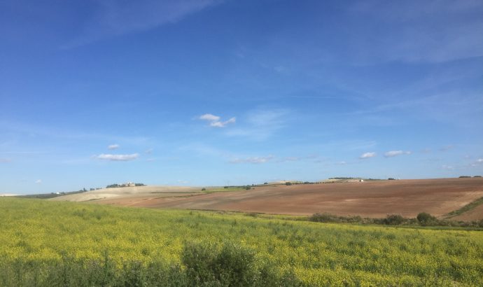 Vejer de la Frontera- eine Perle an der Costa de la Luz