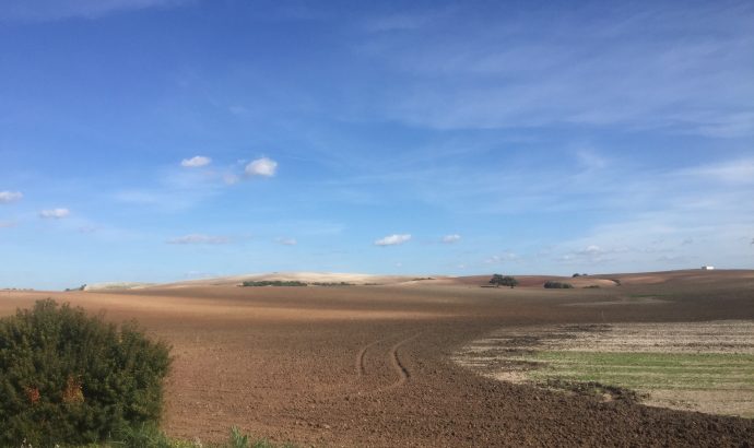 Vejer de la Frontera- eine Perle an der Costa de la Luz