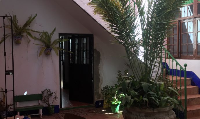 About Alcala… – by Mölli