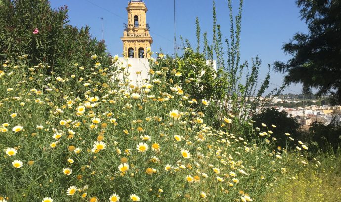 About Alcala… – by Mölli