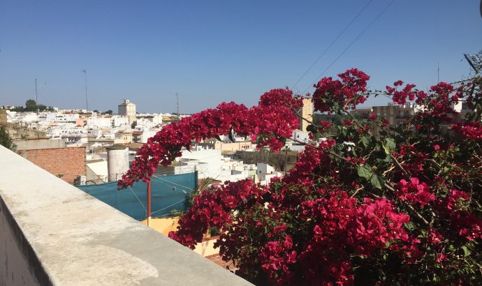 About Alcala… – by Mölli