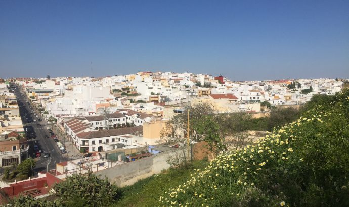 About Alcala… – by Mölli