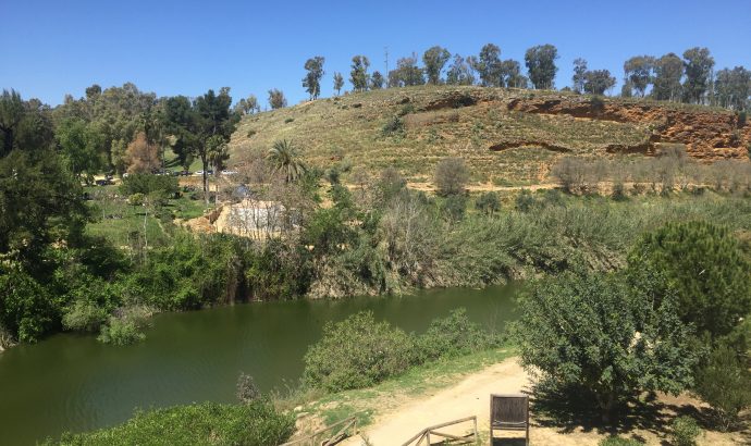 About Alcala… – by Mölli