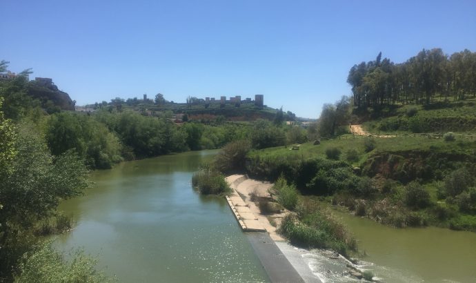 About Alcala… – by Mölli