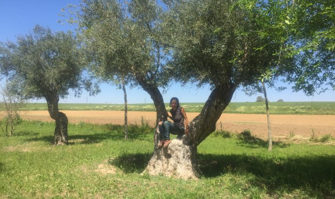 About Alcala… – by Mölli