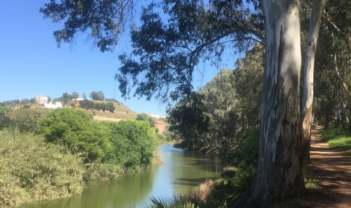 About Alcala… – by Mölli