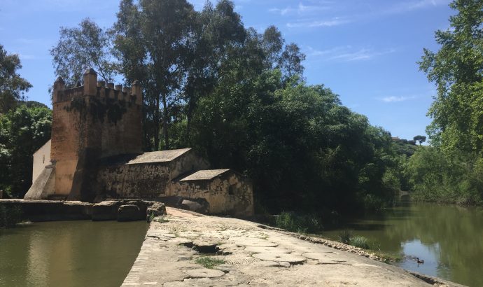 About Alcala… – by Mölli