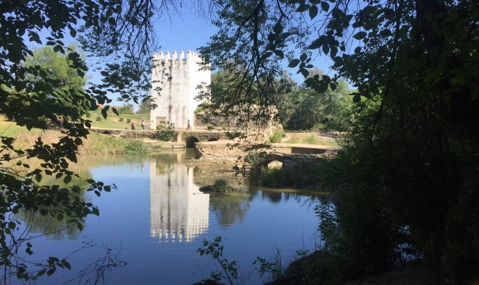 About Alcala… – by Mölli