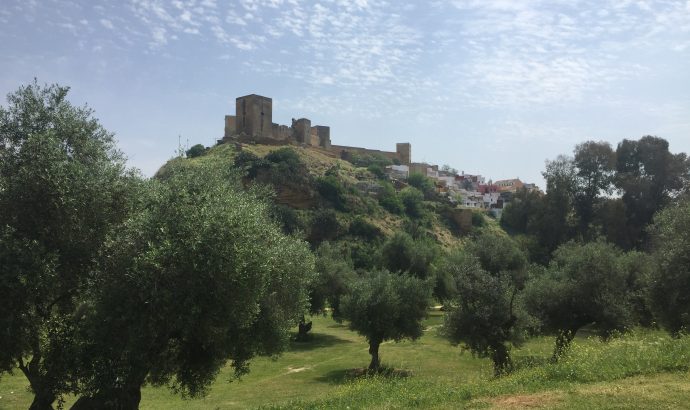 About Alcala… – by Mölli