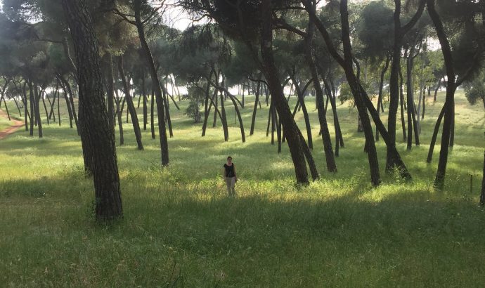 About Alcala… – by Mölli