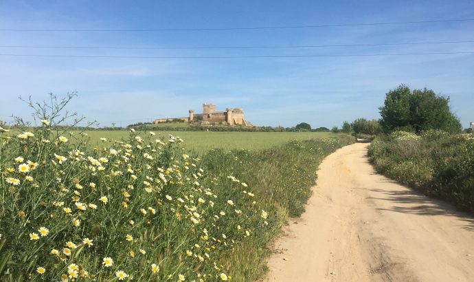 About Alcala… – by Mölli