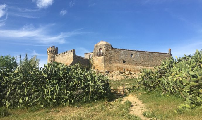 About Alcala… – by Mölli