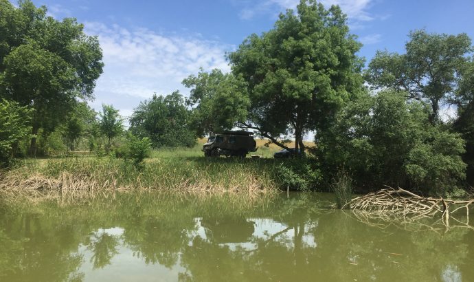 About Alcala… – by Mölli