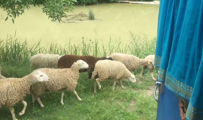 About Alcala… – by Mölli