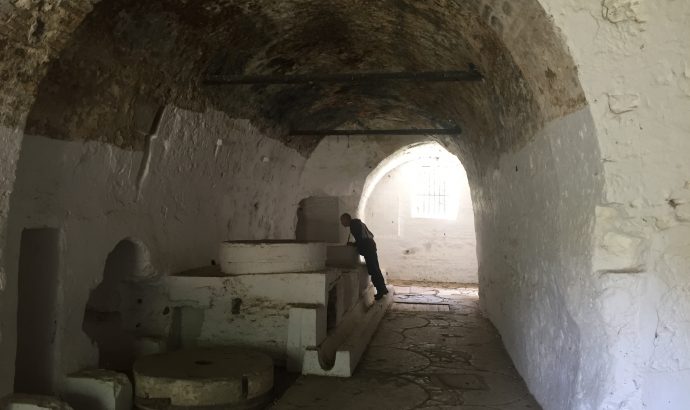 About Alcala… – by Mölli