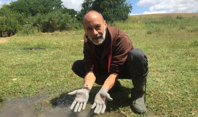 About Alcala… – by Mölli