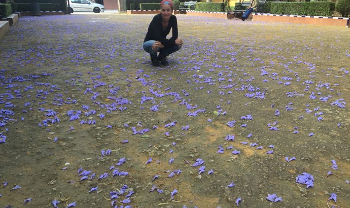 About Alcala… – by Mölli