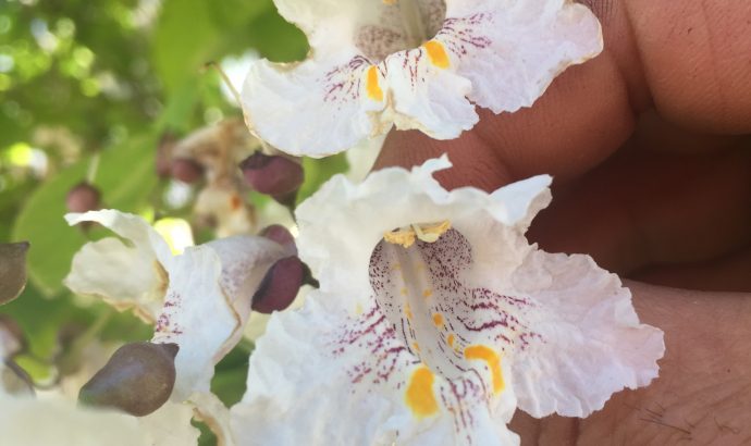 Und noch ein Kupplungsschaden…