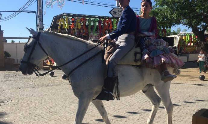 Und noch ein Kupplungsschaden…