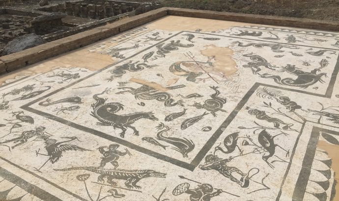 Sonnenblumenfelder auf dem Weg nach Cantillana & die Ruinen von Italica