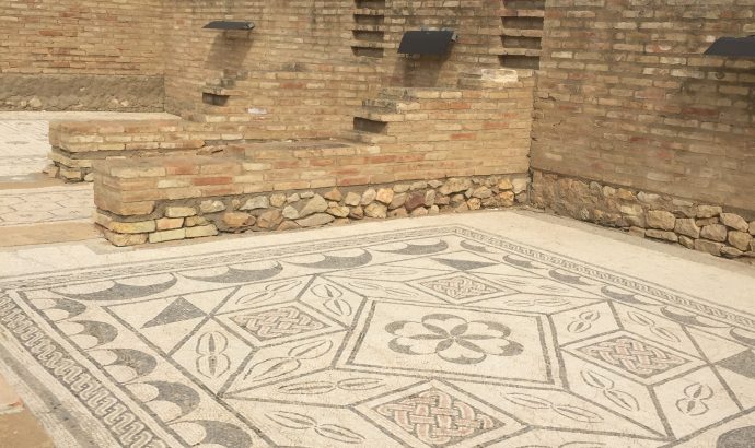 Sonnenblumenfelder auf dem Weg nach Cantillana & die Ruinen von Italica