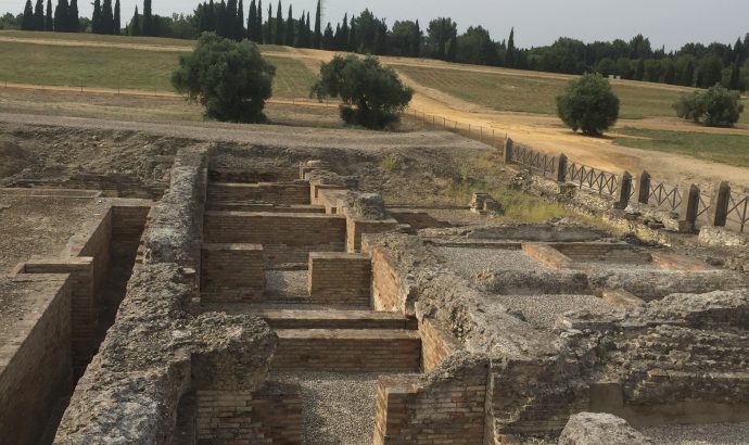 Sonnenblumenfelder auf dem Weg nach Cantillana & die Ruinen von Italica