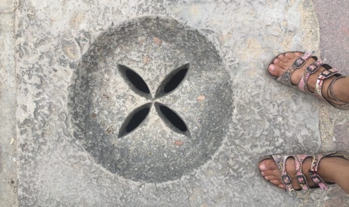 Sonnenblumenfelder auf dem Weg nach Cantillana & die Ruinen von Italica