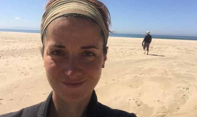 Kühe am Frühstückstisch in Tarifa