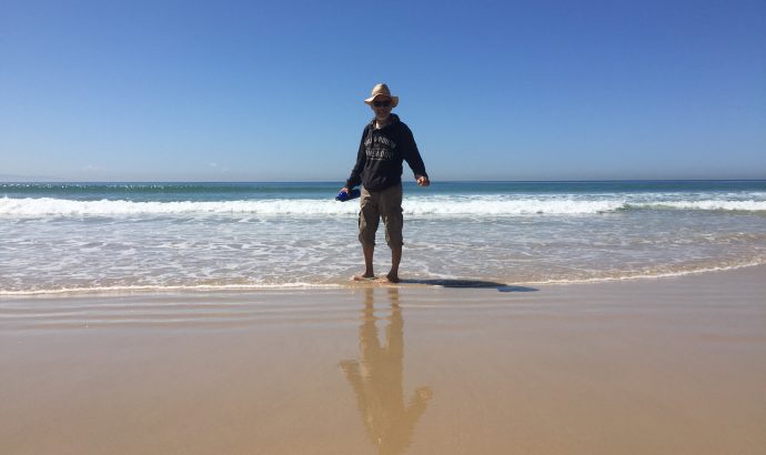 Kühe am Frühstückstisch in Tarifa